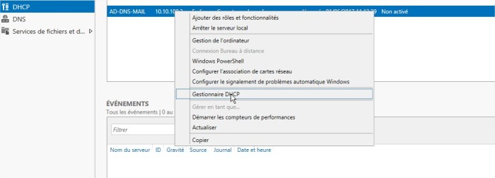 Gestionnaire de serveur11