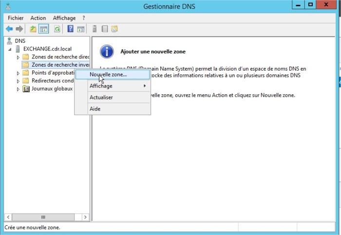 Gestionnaire DNS
